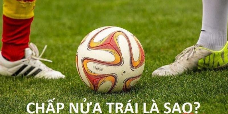 Cược nửa một là gì? Kinh nghiệm cá cược hàng đầu từ các chuyên gia
