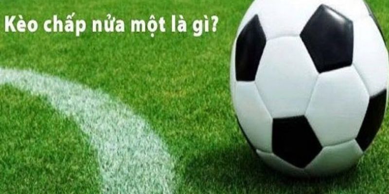 Cược nửa một là gì? Kinh nghiệm cá cược hàng đầu từ các chuyên gia