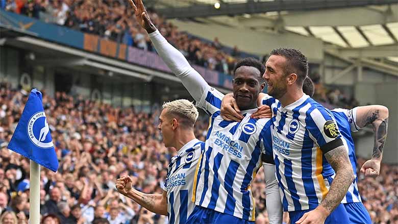 Brighton & Hove Albion: Hành trình vươn lên ở Premier League