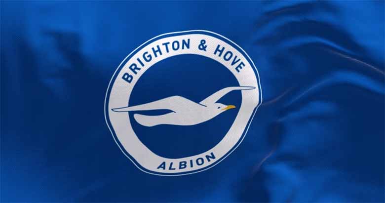 Brighton & Hove Albion: Hành trình vươn lên ở Premier League